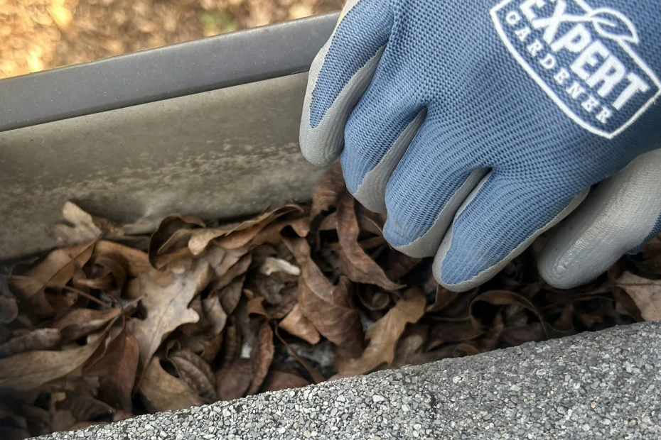 Gutter Cleaning Jupiter Island FL